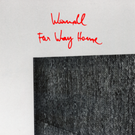 Wandl Far Way Home Cover Wandl Press image