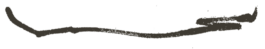 Wandl Press image