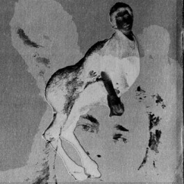 Alex Kranabetter & Wandl Helden/Centauri Cover Wandl Press image